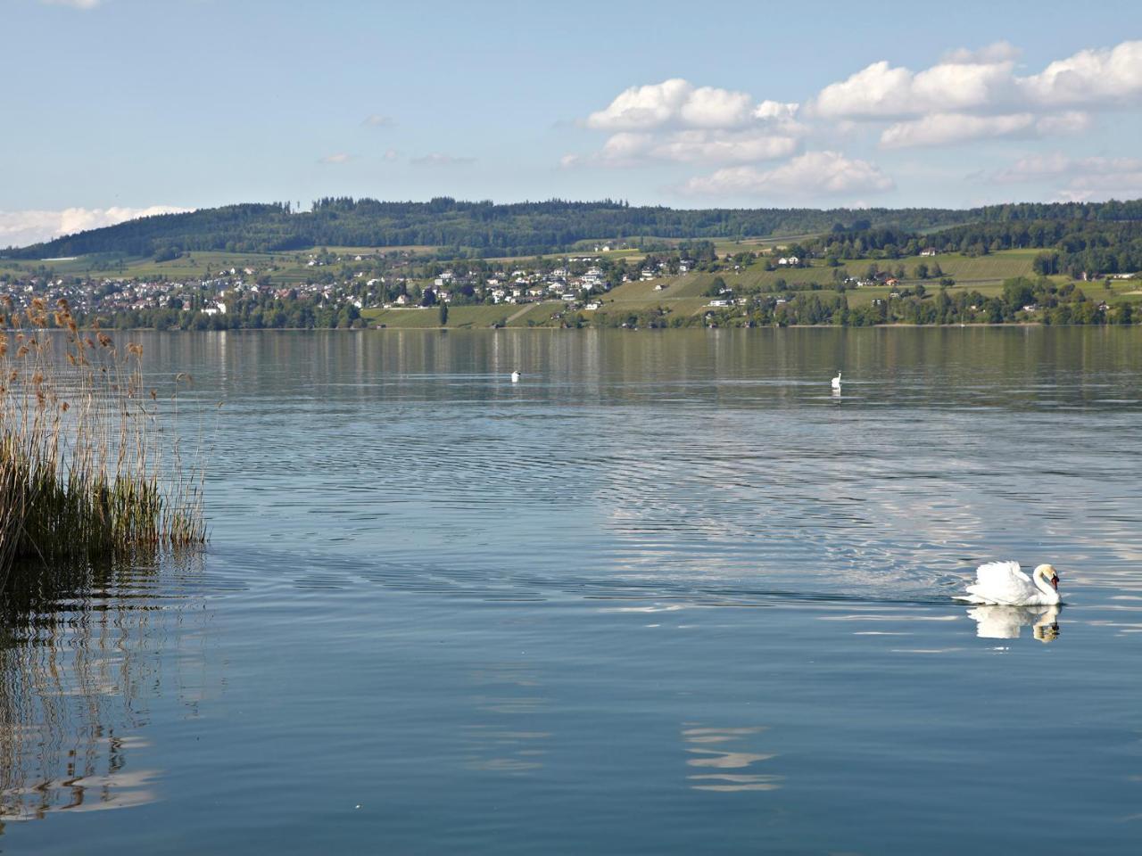 Hotel-Restaurant-Schifflaende Birrwil Экстерьер фото